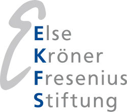 Else Kroener Fresenius Foundation logo